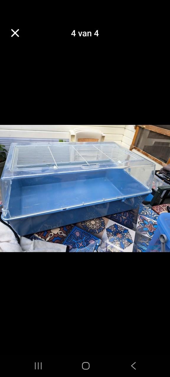 Caviakooi 70 x 45