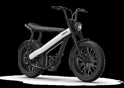 BREKR F250 stoere E-BIKE