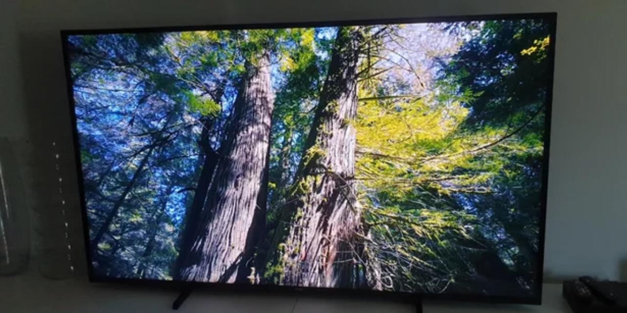 Philips 55 Inch (140cm) Smart 4k UHD ULTRA met WiFi