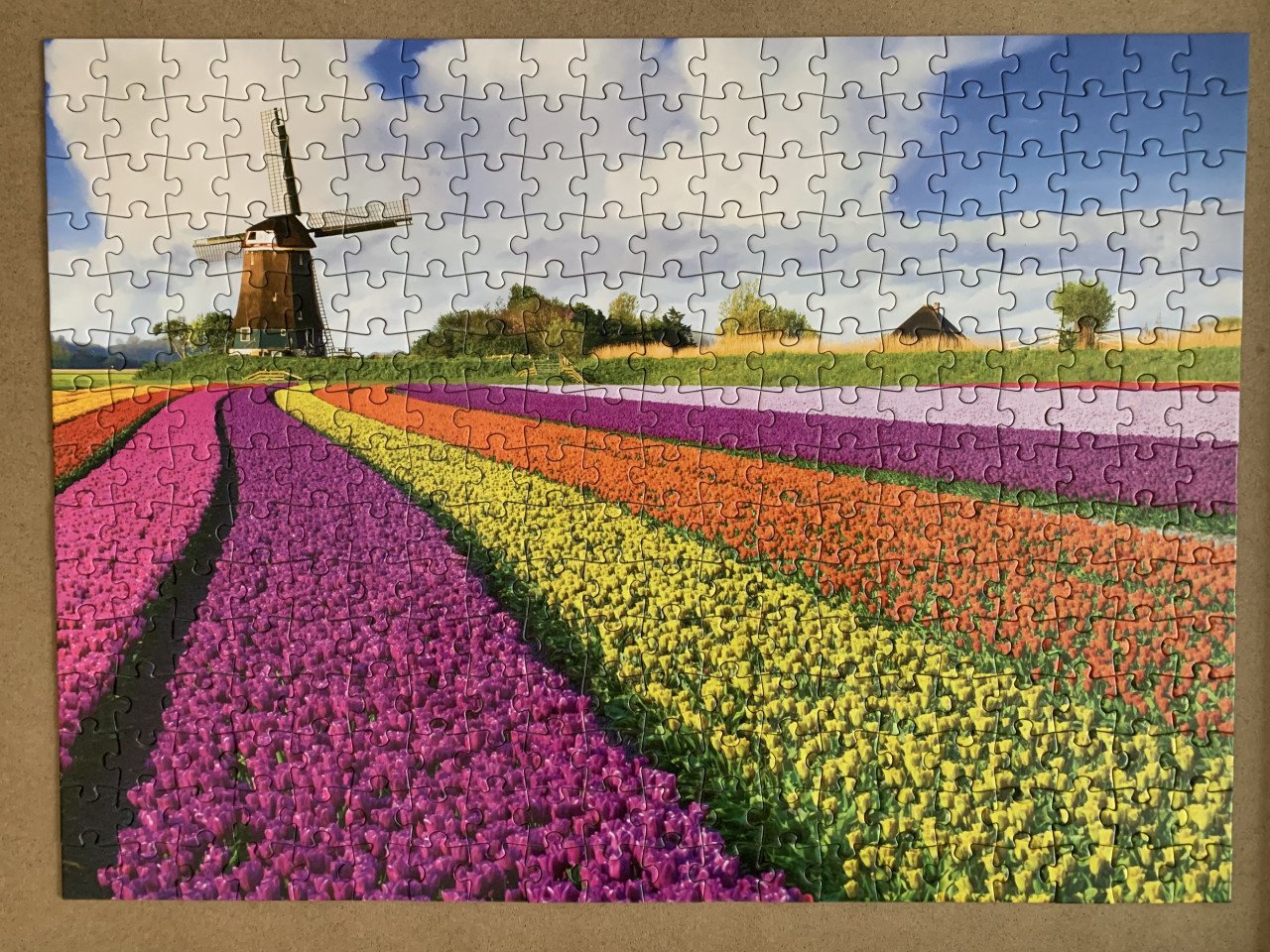 Puzzel 300 stukjes