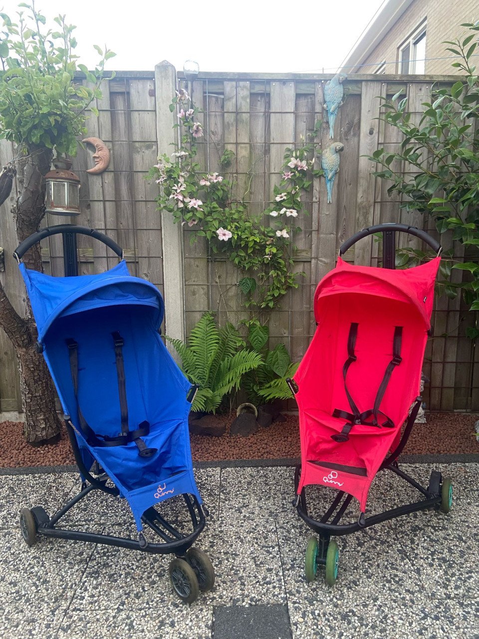 Te koop buggy