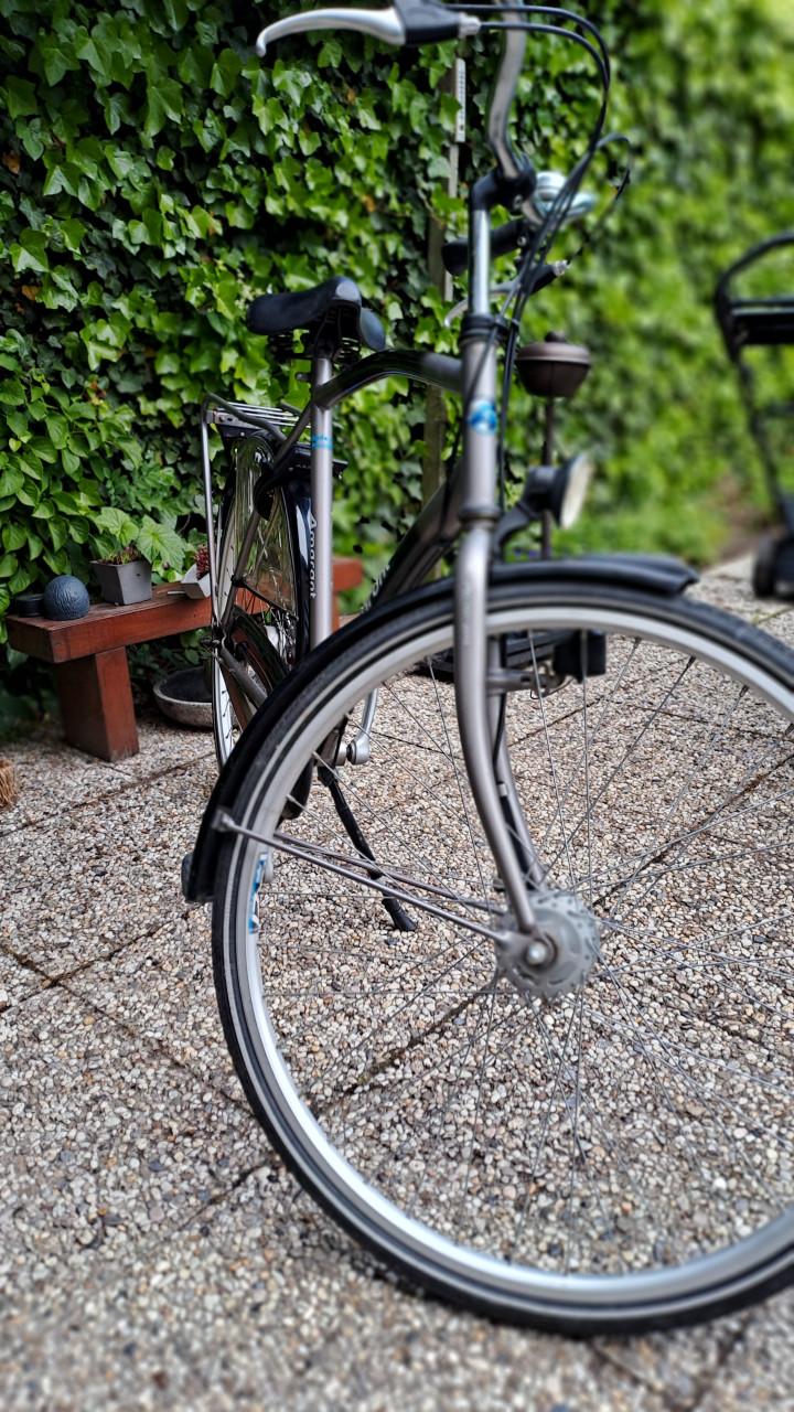 Amarant herenfiets 3 versnellingen