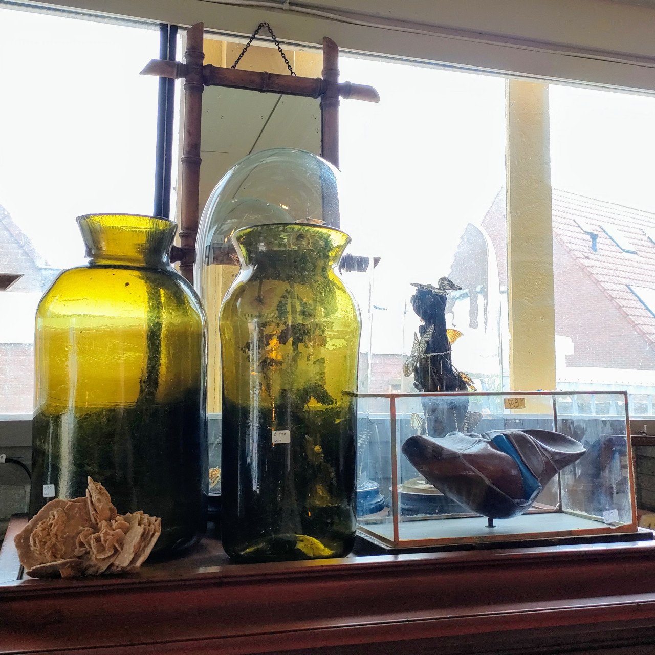 Open Loods Dagen