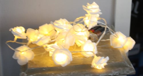 Lichtsnoer met roosjes