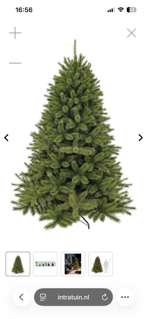 Kunstkerstboom Triumph Tree Romagne D 157 H 230 cm(Intratuin)