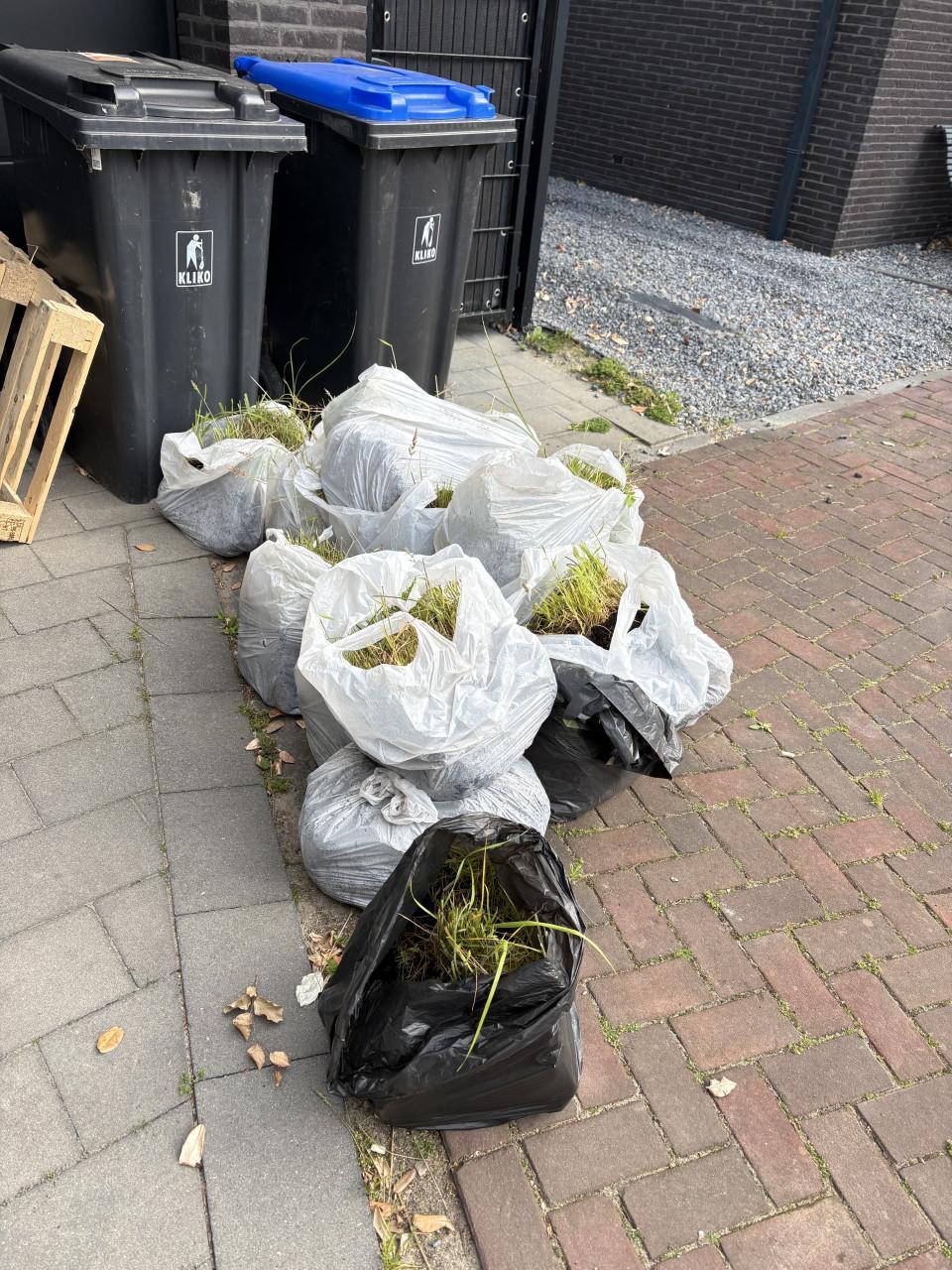 Gratis af te halen siergras 6 strekkende meters