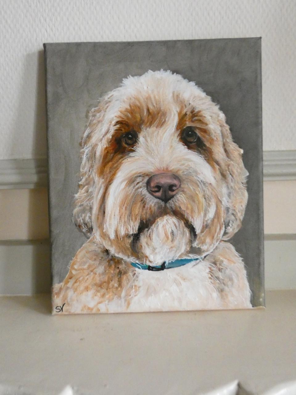 Dierportretten in acryl op canvas vanaf € 75,00