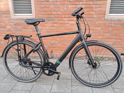 Tenways cgo600 Elektrische fiets
