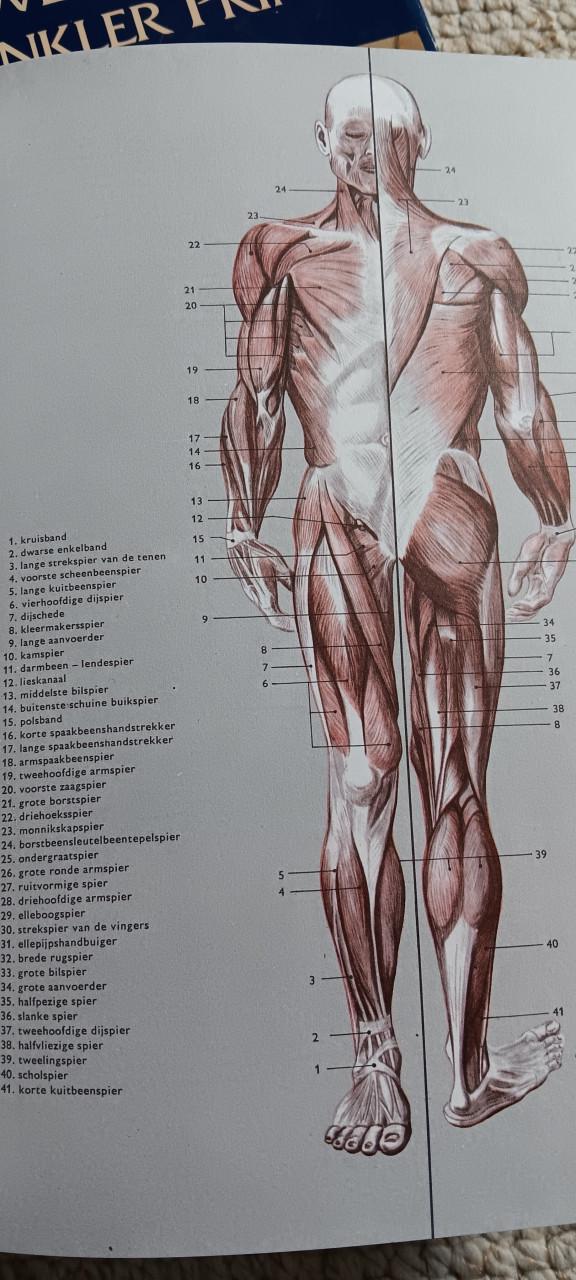 MEDISCHE ENCYCLOPEDIE