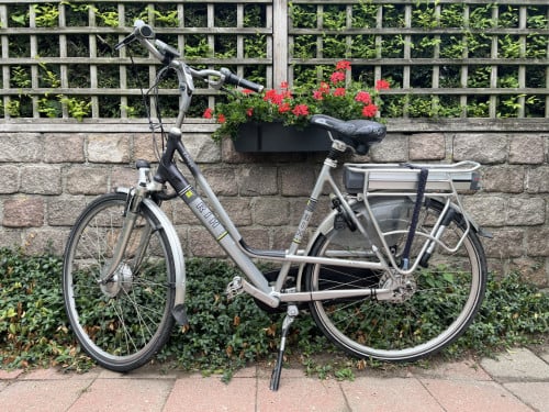 RIH Omega-1 e-Bike voorwielmotor, extra accu, 57cm damesframe IZGS €225