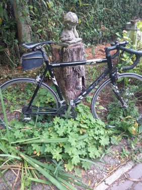 RACEFIETS Stevens Aspin