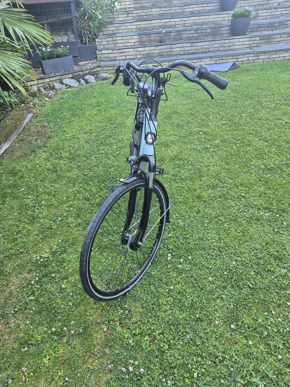 Gazelle orange c7+