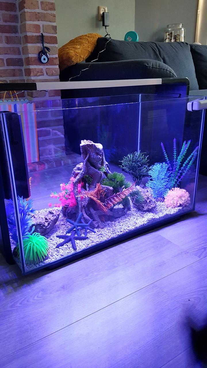 Superfish Home 110 Aquarium Black Inclusief Alle Toebehoren Te Koop