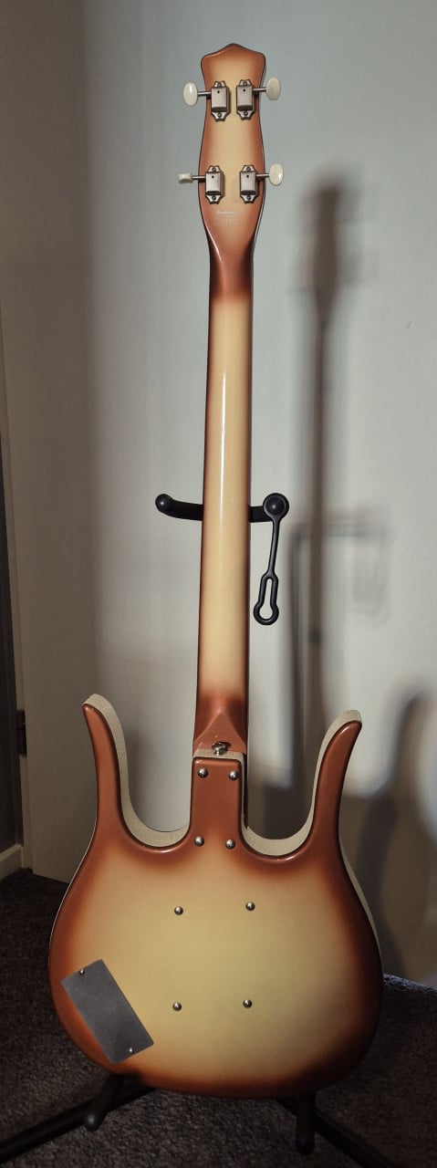 Basgitaar Longhorn