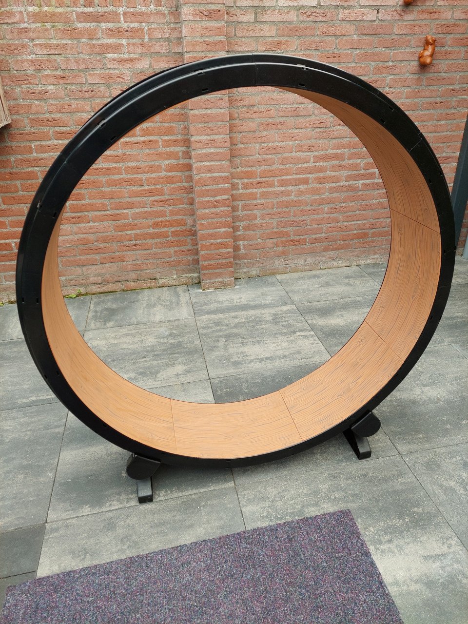 Katten loopwiel