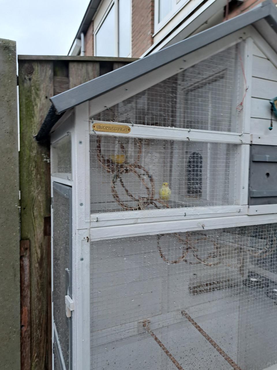 Voliére  Sarah Large