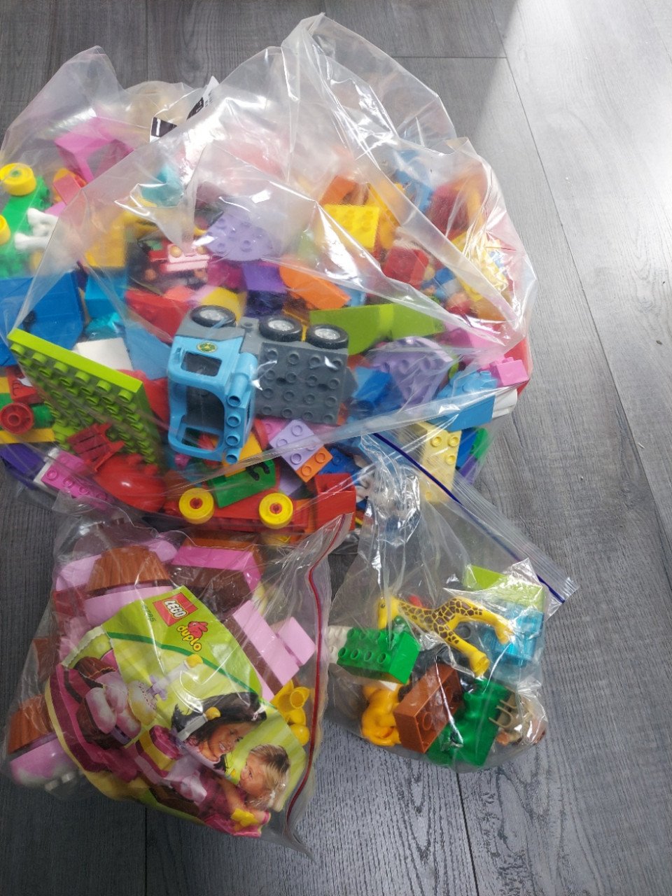 Zak duplo