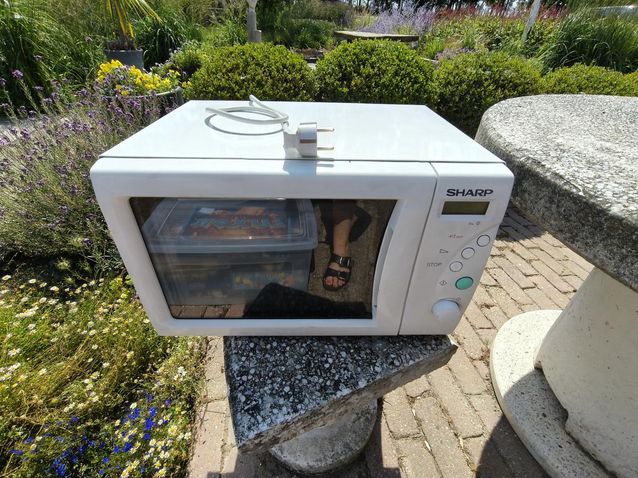 Magnetron