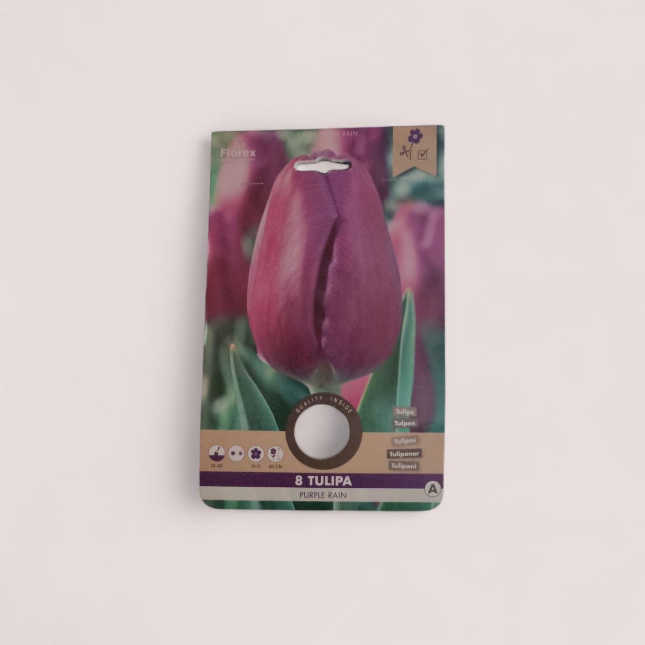 Bloembollen te koop nieuw in verpakking