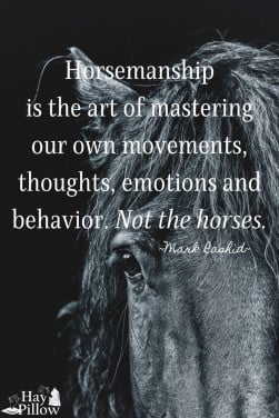 # Equi Pride # grondwerk, NH, rijden, gedrag etc.