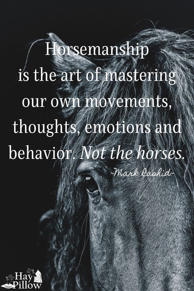 # Equi Pride # grondwerk, NH, rijden, gedrag etc.