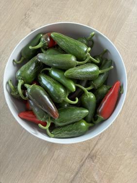 Jalapeno's