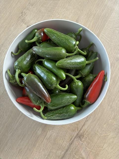 Jalapeno's