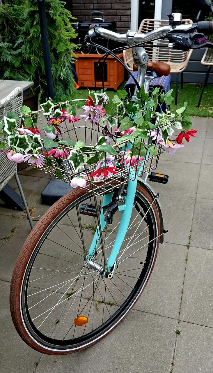 Damesfiets Bianci 21 versnellingen