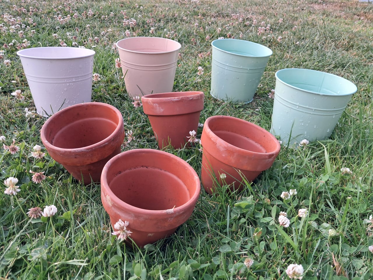 Doos vol bloempotten
