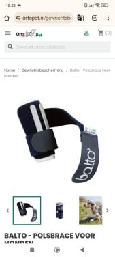 Brace hond maat M