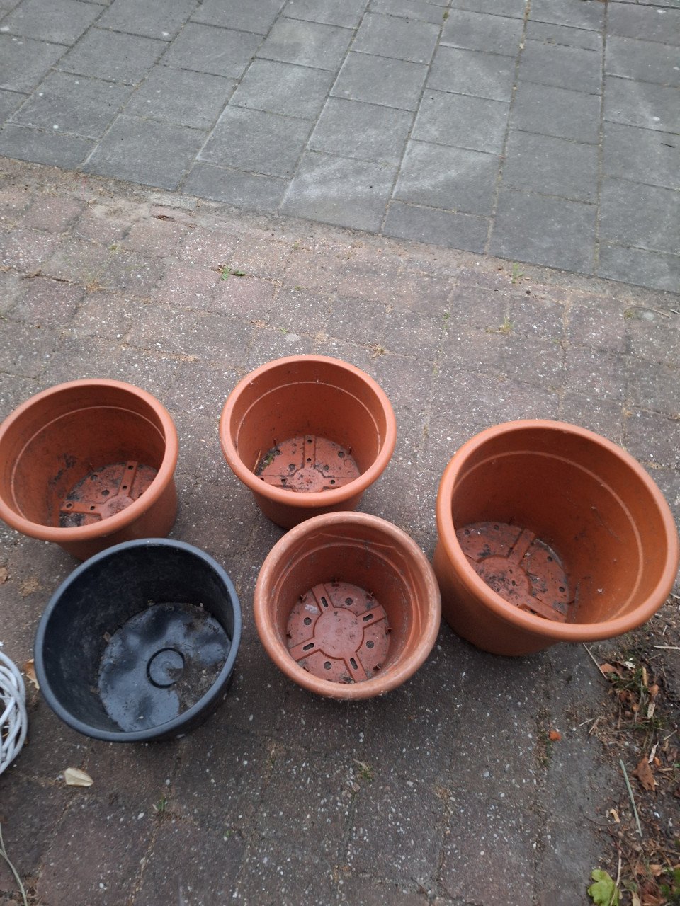 Grote Bloempotten
