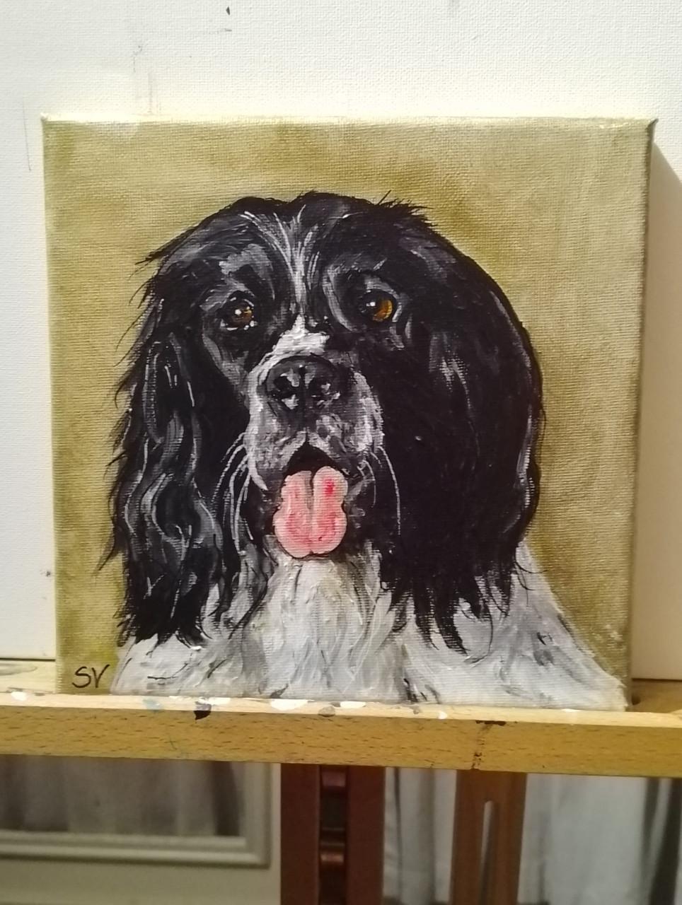 Portret van je favoriete huisdier - KENNISMAKINGSTARIEF FEBRUARI!!