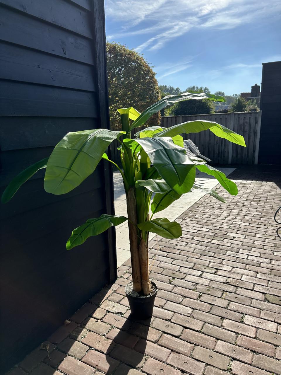 Zo goed als nieuwe kunstplant 160 cm