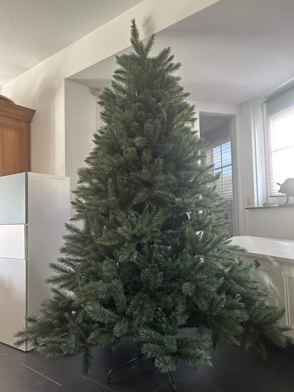 Kerstboom 2.30 Romagnes Intratuin ( nieuw 299)