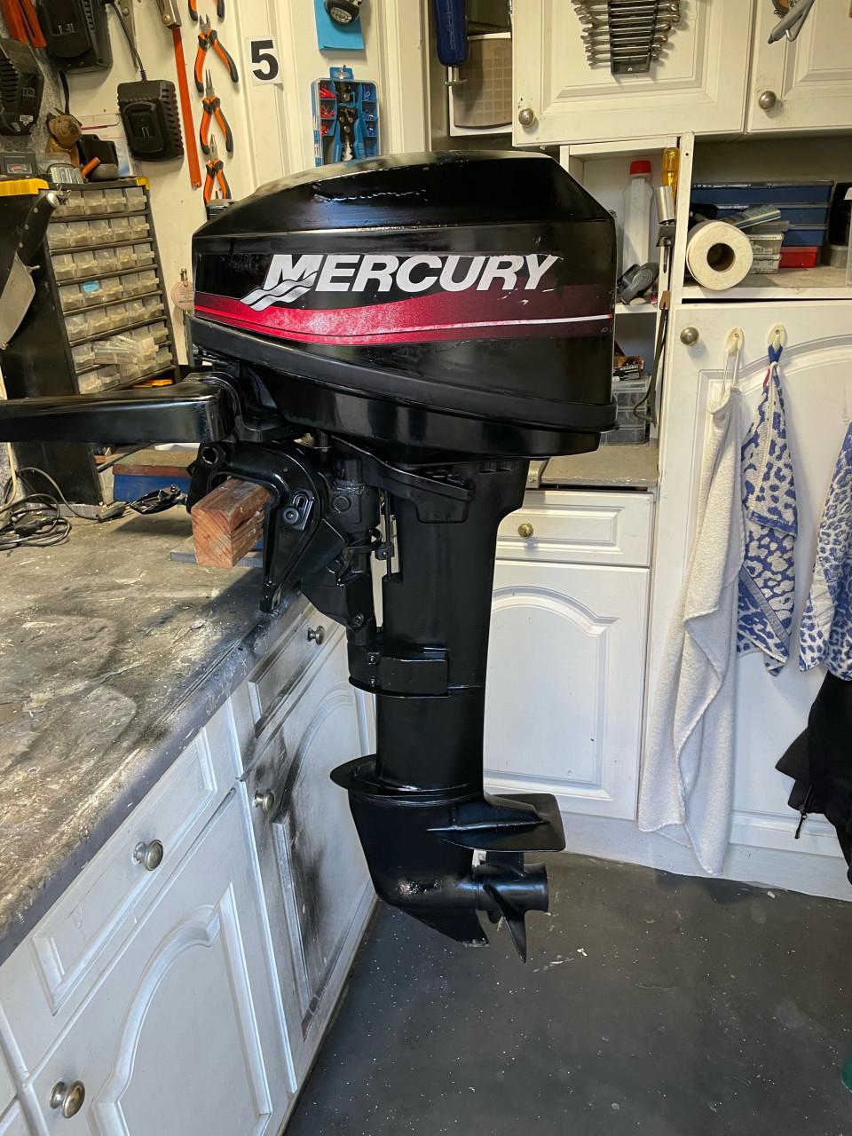 Mercury 15 pk