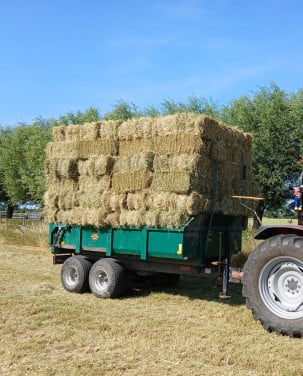 Weidehooi hooi gras stro kleinebaaltjes