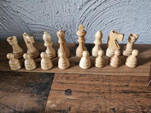 Grote Schaakstukken in leren kistje - Avento