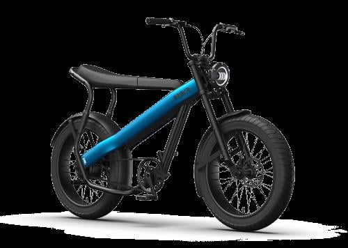 BREKR F250 stoere E-BIKE
