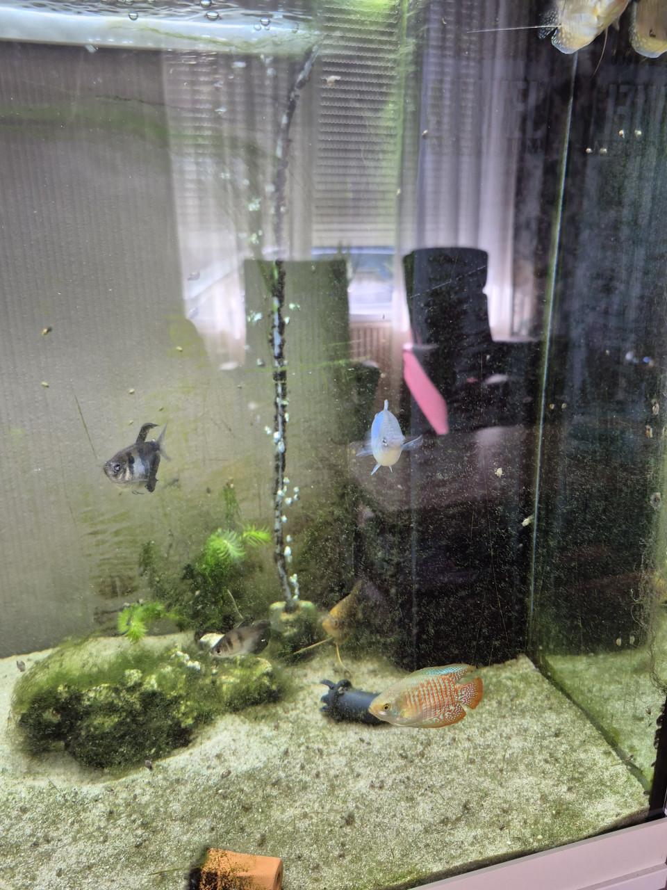 Aquarium