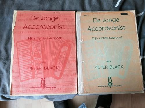 De jonge accordeonist