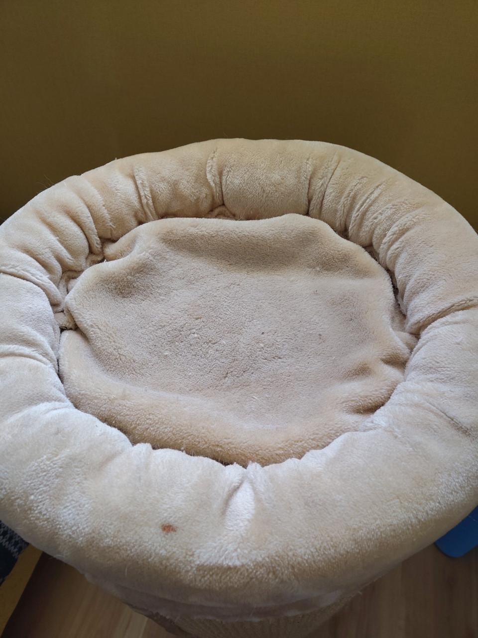 Krab ton voor katten