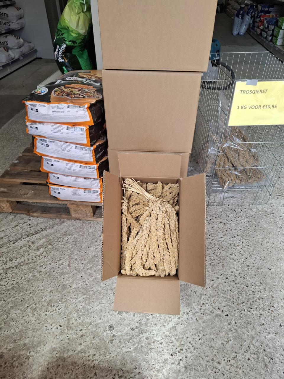 5 kg trosgierst voor slechts €22,50