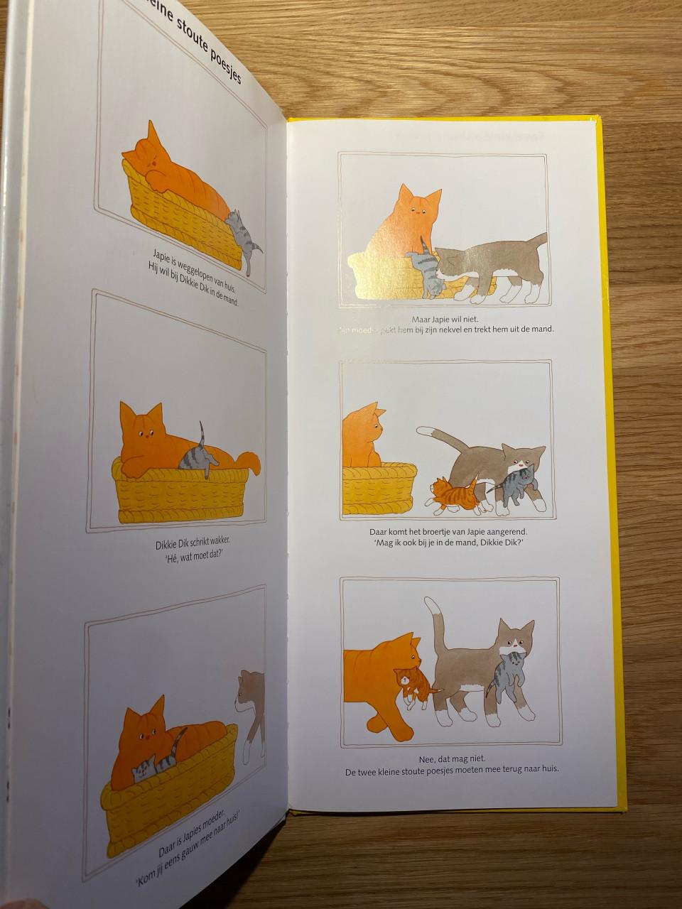 Dikkie Dik lezen en luisteren