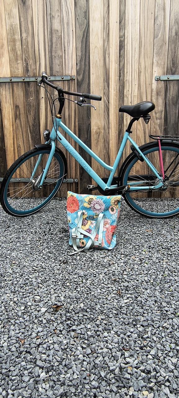 Mooie damesfiets Batavus