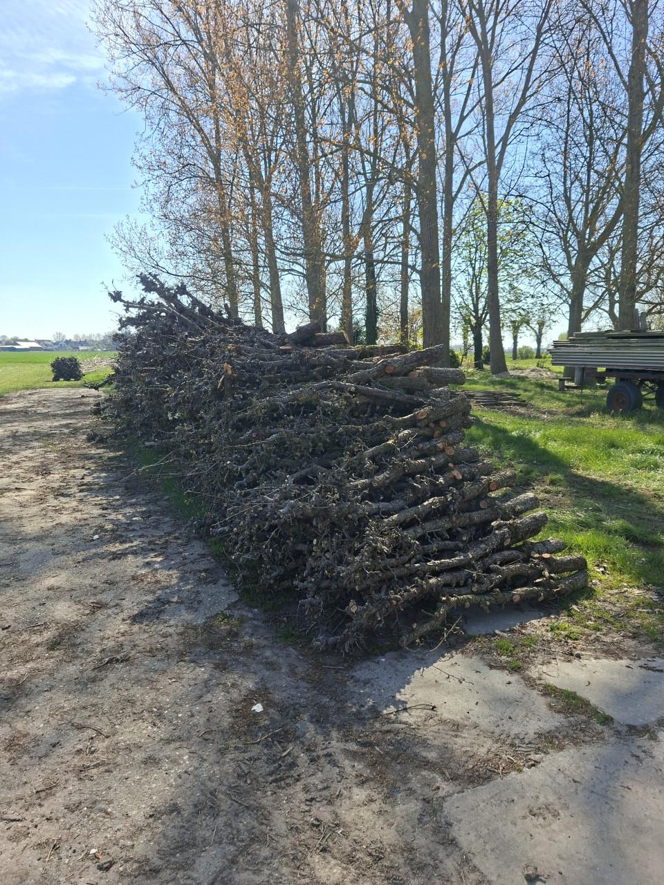 Openhaard hout