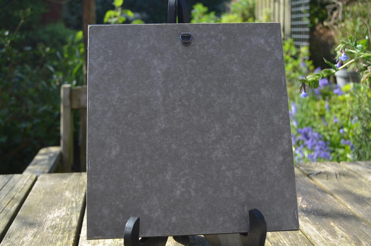 Fraaie ets/gravure Fortificaties/bastions Axel Zee-Vla