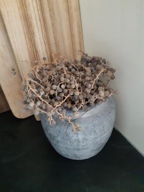 Betonnen bloempotje plus dadeltakje