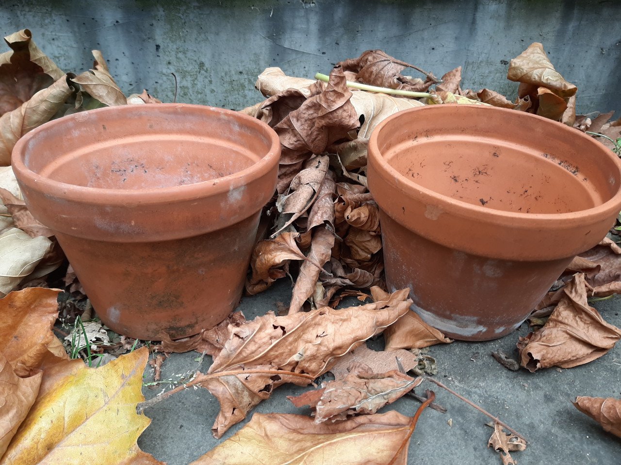 Set van 4 terracotta potten