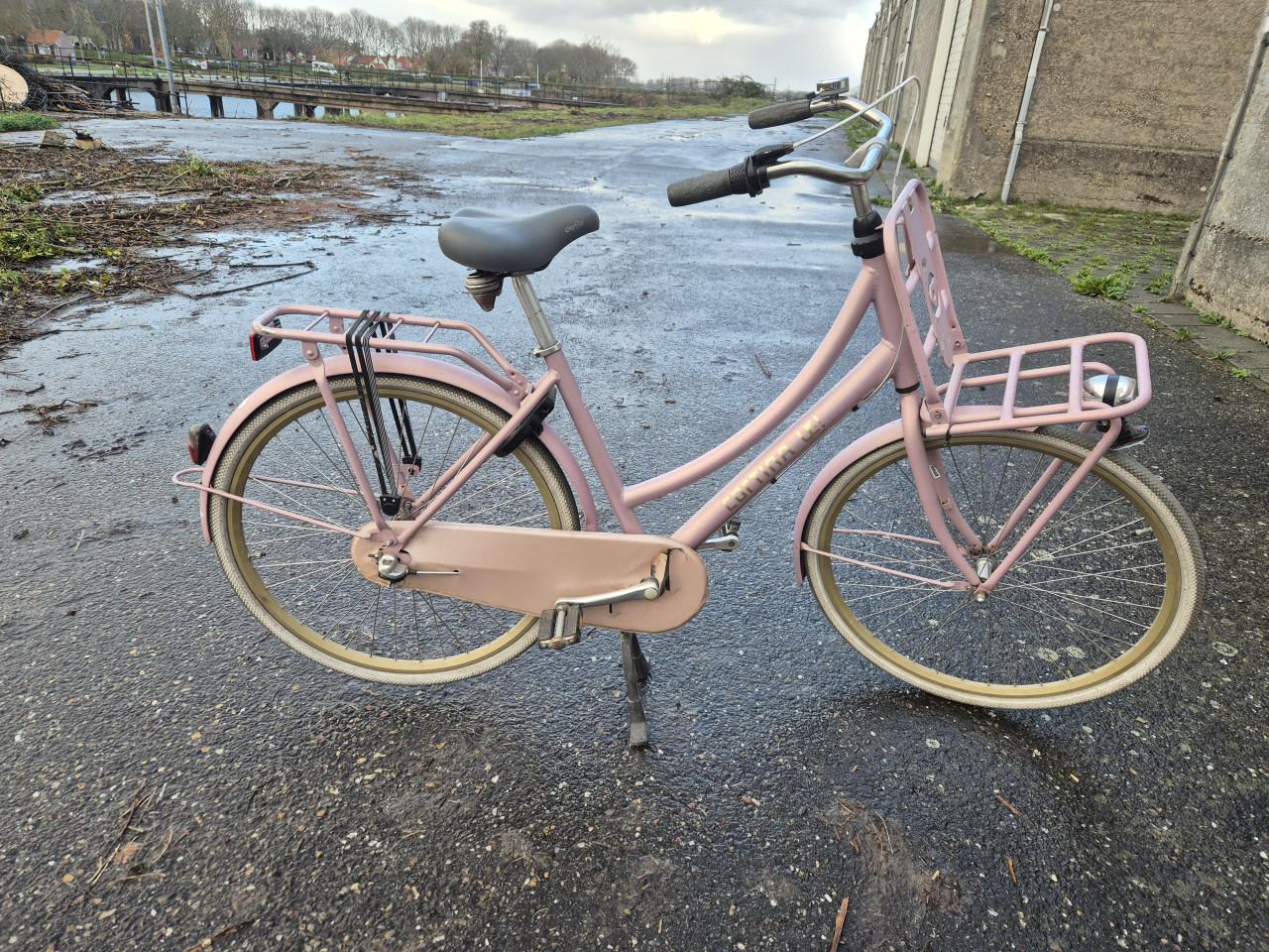 Cortina cargobike dames fiets