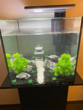 Aquarium met standaard en kastje